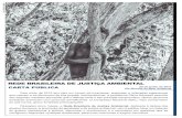 Rede brasileira de justiça ambiental · no campo apenas durante o ... A terra indígena dos Guarani Kaiowá/MS, “suicidados” à beira de ... de obras viárias e políticas de