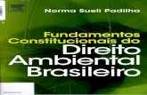  · elsevier 5. cÚpula mundial desenvolvimento sustentÁvel de johannesburgo - rio + 10 capítulo 4 a construÇÃo normativa do dire-ito ambiental brasileiro