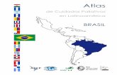 BRASIL - Asociación Latinoamericana de Cuidados Paliativoscuidadospaliativos.org/uploads/2012/10/atlas/06_Brasil.pdf · El Manual de Cuidados Paliativos de la Academia Nacional de