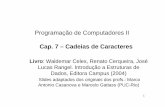 Programação de Computadores II Cap. 7 – Cadeias de Caracteresacopetti/progii/progII09-String.pdf · • Uma aplicação de ponteiros para ponteiros está nas strings, já que