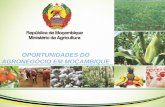 OPORTUNIDADES DO AGRONEGÓCIO EM MOÇAMBIQUE - … · 2015-11-20 · II. POTENCIALIDADES AGRÍCOLAS DE MOÇAMBIQUE (1-2) Investimentos significativos pelo sector privado Previsão