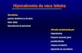 Hipocalcemia da vaca leiteira - fcav.unesp.br · paralisia radial / luxação coxo-femoral / deslocamento radial / ruptura do gastrocnêmio “Paralisia obstétrica materna” trauma