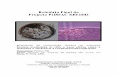 Relatório Final do Projecto PIDDAC 840/2002horta.0catch.com/aemh/PIDDAC 840 RELATORIO FINAL.pdf · Para a identificação da expressão dos enzimas ciclo-oxigenase 1 e 2, capazes
