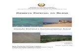 Reserva Especial do Bilene - zonascosteiras.gov.mzzonascosteiras.gov.mz/IMG/pdf/Reserva_Bilene_Situacao_Biofisica... · 12/2002 de 6 de Junho – Regulamento da Lei de Florestas e