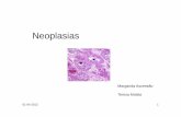 Neoplasias - amacc.med.up.pt Congresso - Apresentações - 17... · após ressecção de neoplasia “O facto de a neoplasia ter sido totalmente ressecada na primeira admissão não