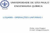 UNIVERSIDADE DE SÃO PAULO ENGENHARIA QUÍMICAbizuando.com/material-apoio/ope-uni1/Aula6Sedimentacao.pdf · As operações do 1º tipo são as de decantação, subdivididas em clarificação