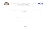 DETERMINAÇÃO DE HIDROCARBONETOS POLICÍCLICOS ...pantheon.ufrj.br/bitstream/11422/4200/1/Monografia Vlademir 2013... · Determinação de hidrocarbonetos policíclicos ... temperaturas