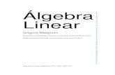 Álgebra Linear - professores.uff.br · Normas de matrizes 139 3 1. Norma de operador 139 4 2. Ação de Grupo 140 5 3. Norma de transformações lineares 142 6 4. Séries e matrizes