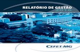 RelatóRio de Gestão 2016 - CEFET-MGcefetmg.br/galeria/download/Relatorio_Gestao_2016_2017_atualizada.pdf · Prof. Paulo Eduardo Maciel de Almeida ... lista de abreviações e siglas