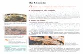 paulasarraino.files.wordpress.com · das etapas de fossilização, o peixe fóssil mais recente. O peixe fossil mais recente o que este na camada superior de sedimentos_ aue depositacta