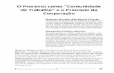 O Processo como “Comunidade de Trabalho” e o Princípio da … · 2017-03-18 · livro e artigos publicados em revistas especializadas. ... (ICPC). Membro do Instituto Brasileiro