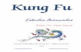 Kuuuunnnnggg FFFFuuuu KK - CENTRO FILOSOFICO DO …centrofilosoficodokungfu.com.br/coletanea kung fu 10.pdf · 2010-08-22 · Um abraço ! www ... são respeitados mundialmente. Assim,