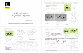 A Bioquimica e a Quimica Organica-2014ruifonte/PDFs/PDFs_arquivados...CH 3CH 2CH 3 propano CH 3CH 2CH 2CH 3 n-butano Fórmula molecular = C4H10 3 Os alcenos são hidrocarbonetos que