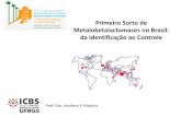 Primeiro Surto de Metalobetalactamases no Brasil: da ...ameci.org.br/wp-content/uploads/2017/03/SALA-04-08H00-ANDREZZA... · Pop. acima de 60 anos: 200.000 (aumento de 32%) 23 hospitais