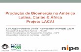 Produção de Bioenergia na América Latina, Caribe & África ... · Sumário da apresentação 1. A importância da Bioenergia Moderna (2 a 5) -Mundo, América Latina & África -Uso