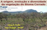A origem, evolução e diversidade da vegetação do Bioma ... · A origem, evolução e diversidade ... Outras classificações: ... espécies de árvores e arbustos, das quais 334