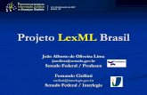Projeto LexML Brasil - Página Principal · Organização da Informação Jurídica Digital ... Elaine Svenonius TheThe IntellectualIntellectual FoundationFoundation ofof InformationInformation