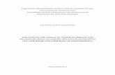PONTIFÍCIA UNIVERSIDADE CATÓLICA DO RIO GRANDE DO …tede2.pucrs.br/tede2/bitstream/tede/1167/1/438105.pdf · 2 eduardo aydos villarinho avaliaÇÃo da prÉ-carga e do torque de