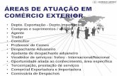 ÁREAS DE ATUAÇÃO EM COMÉRCIO EXTERIORcaribbeanexpress.com.br/docs/Slide1.pdf · motivos de padronização em pallets e outros tipos de recipiente agrupados, objetivando facilitar
