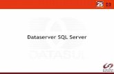 Dataserver SQL Server - sanderleisilveira.com.br · Introdução Existem diferenças entre DB PROGRESS e DB SQL Server O desenvolvedor deve ter estas diferenças em mente quando está