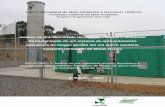 Sistema Estadual de Meio Ambiente e Recursos Hídricos ... 2 analise da pre... · ambiental do aproveitamento energético de biogás do aterro sanitário de Contagem – Estudo de
