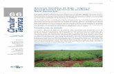 Semente Genética de Soja - origem e procedimentos técnicos ...ainfo.cnptia.embrapa.br/.../CNPSO-2009-09/28932/1/circtec66.pdf · 2 Semente genética de soja ... o volume de semente