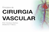 Princ­pios de CIRURGIA VASCULAR - T©cnica Operat³ria .CIRURGIA VASCULAR Prof. Gustavo Santos Medicina
