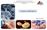 UNIVERSIDADE FEDERAL DE JUIZ DE FORA …ºngicas.pdf · Antifúngicos • As drogas antifúngicas tiveram um avanço quantitativo e qualitativo menor que as drogas antibacterianas: