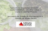 Agricultura, segurança alimentar e sustentabilidade: um ...agenciarmbh.mg.gov.br/wp-content/uploads/2016/06/renata.pdf · Secretaria de Estado de Planejamento e Gestão de Minas