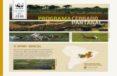 BR 2016 · 2016-09-20 · compartilhada com o WWF-Bolívia e o WWF-Paraguai. ... o trabalho realizado, por meio do Projeto Pacto em Defesa das Nascentes, ... tatu-canastra, lobo-guará,