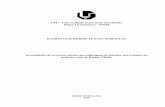 UFU - Universidade Federal de Uberlândia Física ... GUILHERME FLÁVIO DORNELAS.pdf · Investigação do processo ensino e aprendizagem de funções, para alunos do primeiro ano