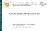 i ae F e l d o Geometria Computacional E s o S o Tópicos …jeiks.net/wp-content/uploads/2014/08/TEP_Slides-14.pdf · – A geometria de segmentos de linhas discretas e polígonos.