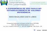A EXPERIÊNCIA DE SÃO PAULO NO ESTABELECIMENTO DE … · •Avaliação de diferença significativa entre as duas profundidades amostradas par verificação da possibilidade de utilizar