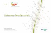 Empresa Brasileira de Pesquisa Agropecuária · A Embrapa Roraima sistematizou a experiência de implantação de sistemas agroflorestais (SAFs) em área de agricultura familiar no