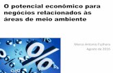 O potencial econômico para negócios relacionados às áreas ...viex-americas.com/2016/wp-content/uploads/2016/08/Marco-Antonio... · Gerenciar a empresa criada estilo de gestão