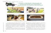 GANAC e CSA Brasil: Valorização da sustentabilidade com ... · para Instituto Biodinâmico de Desenvolvimento Rural (IBD), quando um grupo de antropósofos, em busca de seus objetivos