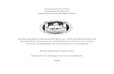 Universidade de Lisboa Faculdade de Ciências Departamento ...repositorio.ul.pt/bitstream/10451/8445/1/ulfc080773_tm_pedro_antas.pdf · 4.2 Factores e Mecanismos de Patogenicidade