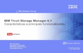 IBM Tivoli Storage Manager 6 · grupo de gerenciamento de aplicações e informações (Tivoli Software), compondo o pilar de gerência ... desastres, falhas de equipamentos ou de