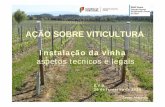 AÇÃO SOBRE VITICULTURA - Direção Regional de ... · Escolha de castas Em função de: Objectivo da produção Vinho Tinto, Branco, Rosé, Espumante, vinho biológico, aguardente,