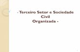 Terceiro Setor e Sociedade Civil Organizada 24 - 05.05 - O... · forma pouco usada ainda no Brasil é a entrada pela sociedade civil em ações judiciais como ação civil pública