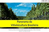 Panorama da Vitivinicultura Brasileira - agricultura.gov.br · Instituto Brasileiro do Vinho (IBRAVIN) PRESIDENTE Federação das Cooperativas Vinícolas do Estado do Rio Grande do