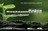 SEMINÁRIO Solos Contaminados - graq.isep.ipp.pt · “Biorremediação Assistida de Solos Contaminados com Hidrocarbonetos” manuela Carvalho REQUIMTE/LAQV, DEG, ISEP, IPP “Potencialidades