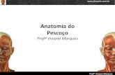 Anatomia do Pescoço - Home - Fonovim · FRANK H. NETTER, MD - Netter Atlas de Anatomia Humana  Prop Viviane Marques
