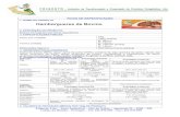 Hambúrgueres de Bovino 7 - FRIGOSTOfrigosto.com/pdf/01_Hamb_Bovino.pdf · Sabor predominante a carne de vaca e especiarias (Picante, pimenta, etc.) ... Definição, características