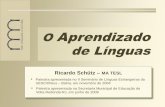 O APRENDIZADO DE LÍNGUAS · 2018-01-17 · A linguagem é a principal característica que distingue o ser humano das demais espécies. ... NOSSA DEFINIÇÃO DE LÍNGUA Línguas podem