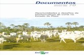Oportunidades e desafios da bovinocultura de corte no ... · ISSN 0104-866X Novembro, 2002 Documentos 70 Oportunidades e desafios da bovinocultura de corte no Estado do Piauí Hoston
