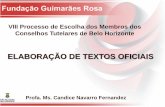 ELABORAÇÃO DE TEXTOS OFICIAIS - fgrconcursos.org.br · VIII Processo de Escolha dos Membros dos Conselhos Tutelares de Belo Horizonte Profa. Ms. Candice Navarro Fernandez ELABORAÇÃO