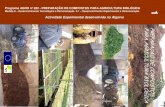 PARA AGRICULTURA BIOLÓGICA PREPARAÇÃO DE … de... · compostagem em pilha estática com reviramento, manual ou mecânico. O controlo destes métodos baseia-se na ... Quando o