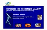 Princípios da Tecnologia CALUX - cetesb.sp.gov.br · • pequeno volume de solvente (70 ... A série CALUX-10 da BDS e aplicações típicas. Curva dose-resposta. Correlação CALUX
