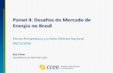 Painel 4: Desafios do Mercado de Energia no Brasil 2015 Criação e gestão da Conta Centralizadora de Recursos das Bandeiras Tarifárias, Comercializador Varejista 2016 Gestão do